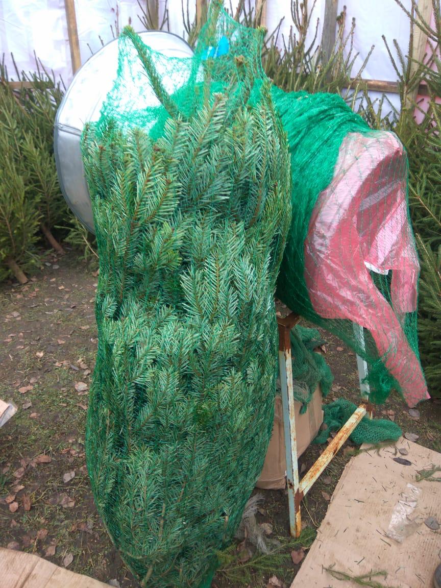 Сетка для упаковки ёлок