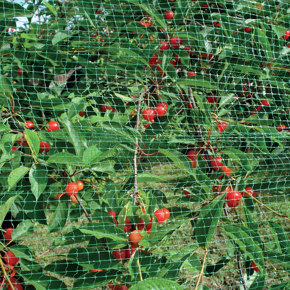 ortoflex 4х10