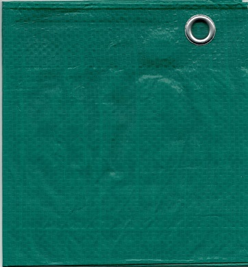 x31yurlr1siltnotlzn0o0sid6c6gbrd (1)